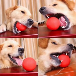 Chew Ball