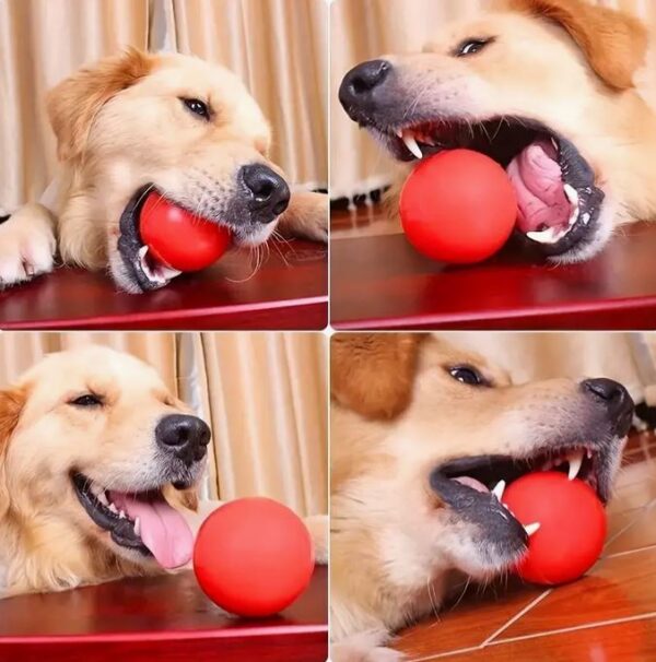 Chew Ball