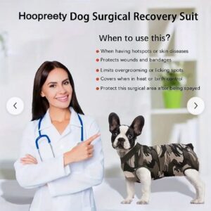 Dog recovery suit