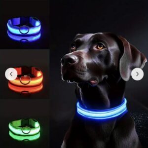 Pet Collar