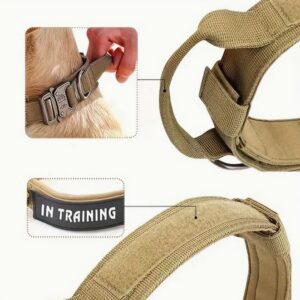 Training collar2