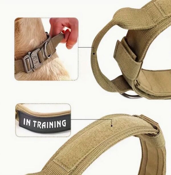 Training collar2