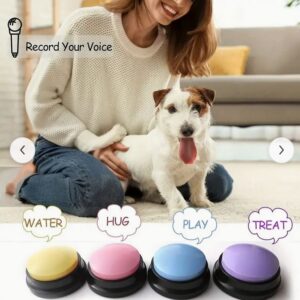 Voice Recording Button