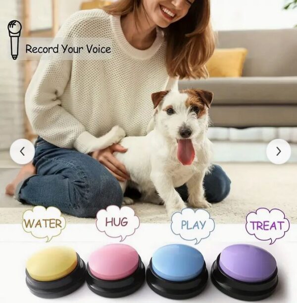 Voice Recording Button