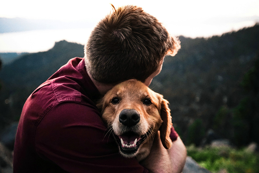 Build bond with dog